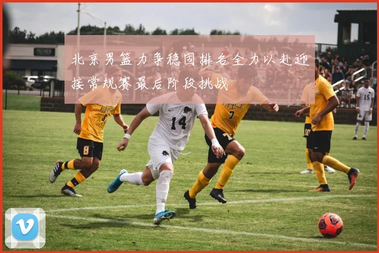 北京男篮力争稳固排名全力以赴迎接常规赛最后阶段挑战