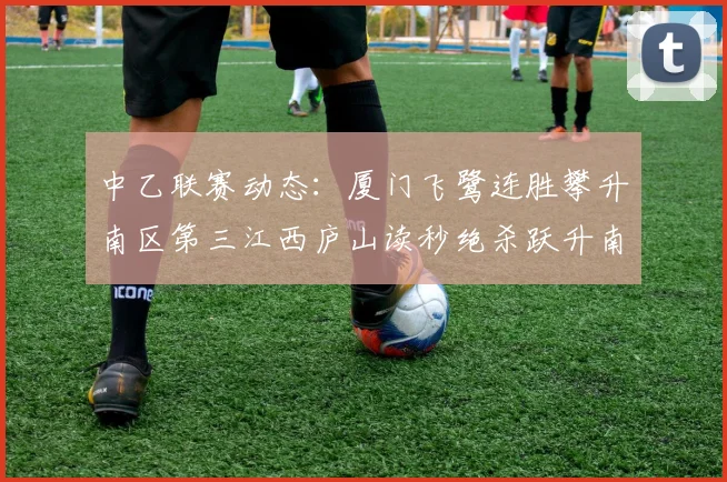 中乙联赛动态：厦门飞鹭连胜攀升南区第三江西庐山读秒绝杀跃升南区第四