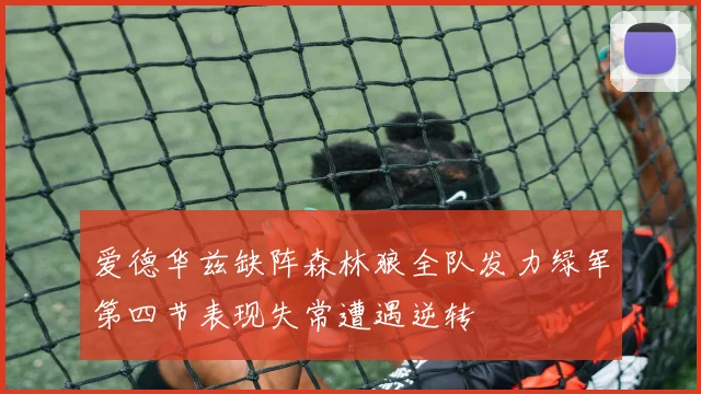 爱德华兹缺阵森林狼全队发力绿军第四节表现失常遭遇逆转