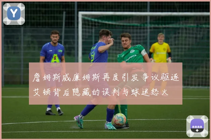 詹姆斯威廉姆斯再度引发争议驱逐艾顿背后隐藏的误判与球迷怒火